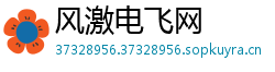 风激电飞网